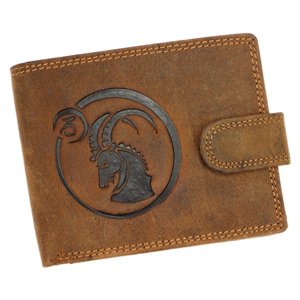 Pánská peněženka Wild L895-012 N hnědá