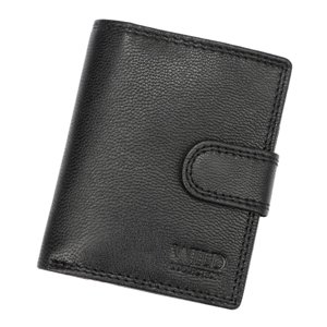 Pánská peněženka Wild 125131B černá