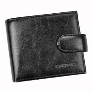 Pánská peněženka Z.Ricardo 051S-A černá