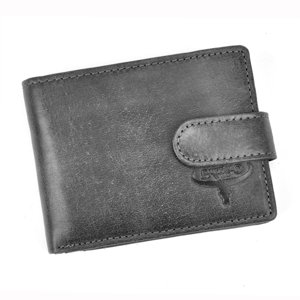 Pánská peněženka Wild N1187L-HP černá
