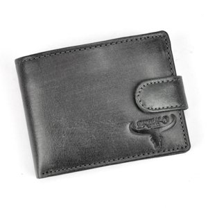 Pánská peněženka Wild N1190L-HP černá