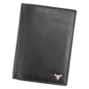 Pánská peněženka Wild N104-BW černá
