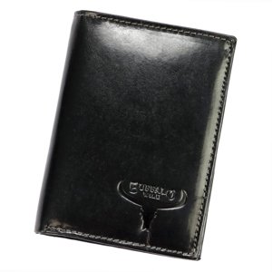 Pánská peněženka Wild N4-CVTB černá