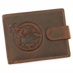 Pánská peněženka Wild L895-011 hnědá
