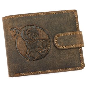 Pánská peněženka Wild L895-012 hnědá