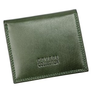 Dámská peněženka Coveri World 40 1206 zelená